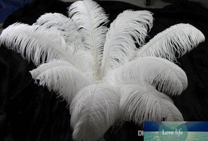 100 pc 10-12inch 25-30cm Plumas de penas de avestruz branca para casamento Centerpiece Decoração festiva de decoração festiva