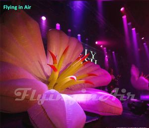 5ft / 2 M çekici Muhteşem parti ışıkları led ışık ile şişme aydınlatma çiçek