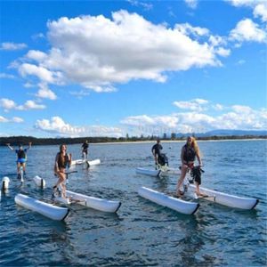 Heavy-duty PVC pontoon Waterbike inflatable water bicycle tube floating pedal boat tubes on sale(Without bike/pump)