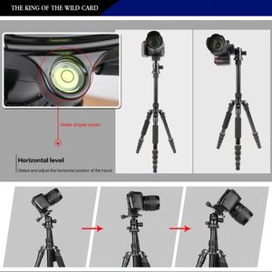 dijital SLR DSLR fotoğraf makinesi için FreeShipping hafif Taşınabilir Profesyonel Seyahat Kamera Tripod Monopod alüminyum Topu Kafa kompakt