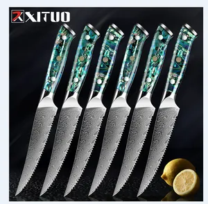 XITUO 1-6 ADET Biftek Bıçağı 67 Katmanlı Şam Çelik Tırtıklı Biftek Bıçağı Keskin Bıçak Mutfak Pratik Bıçaklar Abalone Kabuk Kolu