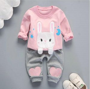 Осенняя детская одежда для малышей, детская футболка с длинными рукавами и принтом кролика для мальчиков и девочек, штаны, 2 шт./компл., модный хлопковый костюм для малышей, комплекты