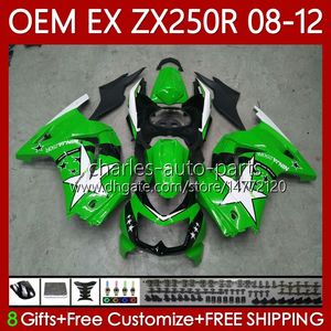 Corpo de OEM para Kawasaki Ninja Ex250 ZX250 R Ex ZX 250R ZX-250R 2008-2012 81NO.85 EX-250 ZX250R 2008 2009 2010 2011 2012 2012 EX250R 08 09 10 11 12 Luz de carenagem de injeção verde blk