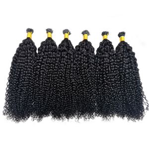 Afro Kinky Curly I Tip Haarverlängerungen, Microlinks, 100 % Remy-Menschenhaar-Webart, brasilianisches Naturschwarz, Ever Beauty 4B 4C, 100 g/Lot, 35,6–71,1 cm