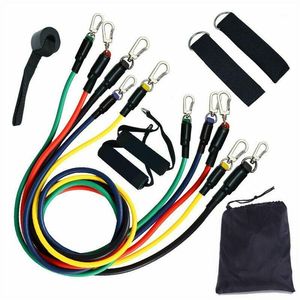 Direnç Bantları TPE Ralli Set Gerginlik Halat Süspansiyon İşlevli Ev Fitness 11-piece Egzersiz Bands1