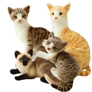 Lifelike Siamese Cat Plush toys Stuffed Animals Simulation American Shorthair Cat Plushie dolls for Children Kids Pet toy Decor 220217