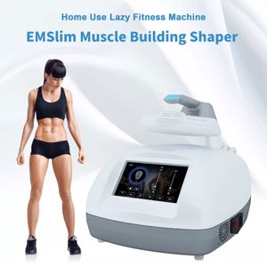 Tembel Fitness Makinesi Hava Soğutma Sistemi Ev Kullanımı Tek Kolu TesLasculpt Hiemt EMS Ince RF Makinesi Kas Stimülatörü Yağ Yakma Butt Asansör Vücut Şekillendirici Ekipmanları