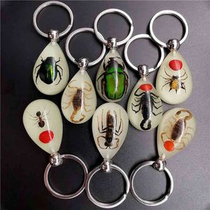Ключи моды янтарная смоля кольцо, настоящий червь, скорпион, ночная сова, подарок, оптом