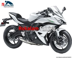 Kawasaki Ninja için satış sonrası Fairings 650R ER 6F 2017 2018 2019 ER-6F 17 18 19 ER6F 650 EX650 Bodyworks Fairing (Enjeksiyon Kalıplama)