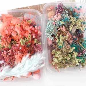 1 box mix красивые настоящие высушенные цветы натуральные цветочные для искусства ремесло скрапбукинг Смола ювелирные изделия ремесло сделать эпоксидную форму заполнения T191029