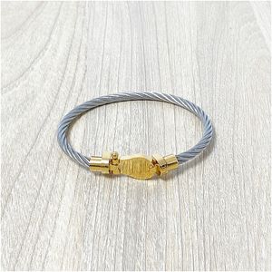 Stainless Steel Horseshoe Bangle Bracelet with Magnetic Buckle and Micro Inlay, Comes with Jewelry Pouches