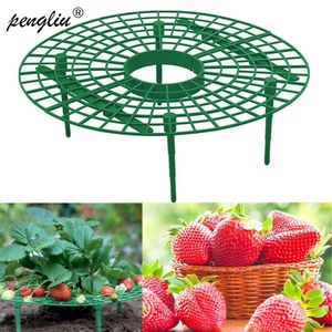 Strawberry Stand Frame Holder Balcony Planting Rack Fruit Support Plant Flower Climbing Vine Pillar Gardening Stand