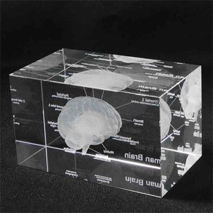 3D İnsan Anatomik Model Paperweight Lazer Kazınmış Beyin Kristal Cam Küp Anatomisi Zihin Nöroloji Düşünme Bilim Hediye 210811