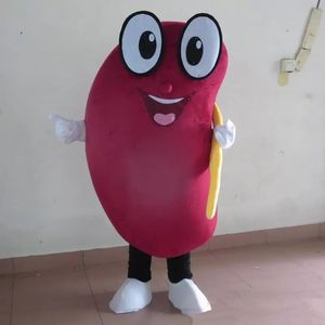 Costume da mascotte di rene sano di Halloween di alta qualità personalizza il personaggio a tema anime dei cartoni animati formato adulto festa di compleanno di Natale vestito operato