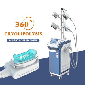 Soğuk Vücut Kriyoterapi Zayıflama Criolipolyse 5 Eller Serin Teknoloji Şekillendirici Şekil Yağ Donma Ekipmanları Kriyo Kilo Kilo 360 Cryolipolysis Makinesi
