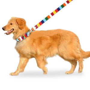 Güzel Moda Gökkuşağı Çizgili Köpek Yaka Tasmalar Koşum Seti Ayarlanabilir Dayanıklı Renk Hızlı Küçük Orta Büyük Köpekler için Uygun Size Ekstra S 8 