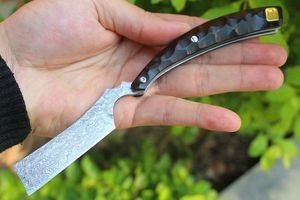 Высокое качество Dimascuss Razor-T складной нож Damascus Steel Tanto Point Blade Ebony Ручка EDC Карманные ножи с Zip Nylon Case