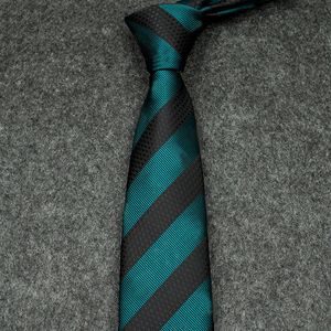Mens Designer Ties Necktie Stripes Plaid Letter G Bee Fashion Luxury Business Leisure Silk Tie Cravat with box sapeee
