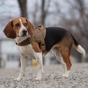 Тактический жгут для собак Военный патруль K9 Рабочий домашнее животное воротник о воротничке Учебный жилет с ручкой для маленьких и больших собак 210729