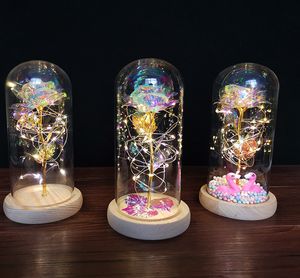 Anne Hediyeler Galaxy Gül Renkli Yapay Çiçek Gül Led Işık Dize Çiçekler Cam Dome Kadınlar Için Benzersiz Hediyeler Yıldönümü Düğün Doğum Günü