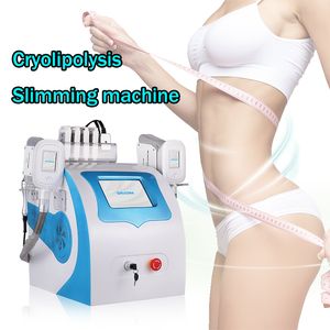 Cryolipolysis Kilo Ekipmanları Kaybetmek Serin Kriyoterapi Zayıflama Vücut Şekli Enstrüman LLLT Lipo Lazer Yüksek Kalite CE Onaylı