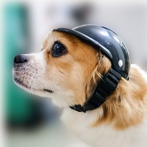 Pet Köpek Kask Bisiklet Güvenlik Serin Moda Araba Korumak Korumak Cap Kediler Komik Açık Yavru Çıkarılabilir Taşıyıcı Motosiklet Şapka