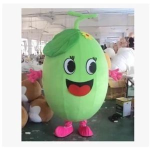 Vegetable muskmelon Mascot Costume Halloween Christmas Cartoon Character Outfits Suit Advertising Leaflets Clothings Carnival Unisex Adults Outfit