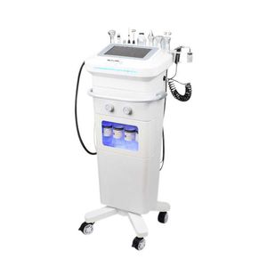 10 IN 1 Comprehensive Facial Massager Beauty Instrument Ion Bubble Cleansing Oxygen Hydration Rejuvenation Skin Care Machine