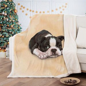 Battaniyeler Köpek Yatak Battaniyesi Çocuklar için Battaniye Yetişkin 3d Sevimli Kış Polar Yumuşak Sıcak İkiz Boyut Kapak Yatak Çekyat Dekor
