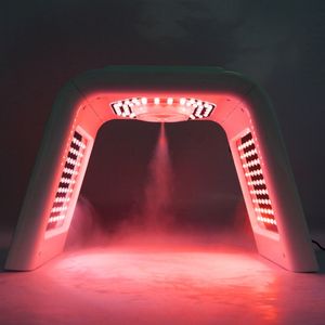 LED Yüz PDT Işık Terapi Makinesi Yeni Teknoloji Nano Mist Salon Yüz Cilt Bakımı Güzellik