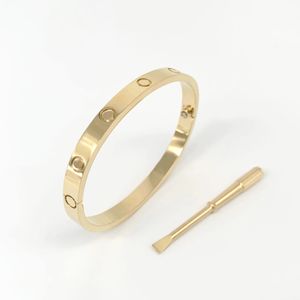 Women's Classic Titanium Steel Bracelet - 5.0 Alloy, Gold-Plated, Hypoallergenic in Gold, Silver, Rose Colors