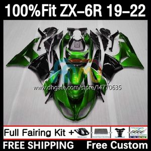 Kawasaki için OEM Fairings Kiti Ninja ZX-6R ZX 636 ZX636 ZX6R 19 20 21 22 22 22 22 22 22 22 GÜSTEME 6DH.59 ZX 6R ZX-636 2019 2020 2021 2022 Çerçeve 600cc 19-22 Enjeksiyon Kalıp Gövde Gövde Açık Yeşil