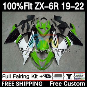 OEM-Verkleidungsset für KAWASAKI NINJA ZX-6R ZX 636 ZX636 ZX6R 19 20 21 22 Karosserie 6DH.138 ZX 6R ZX-636 2019 2020 2021 2022 Rahmen 600CC 19-22 Spritzgusskörper grün weiß