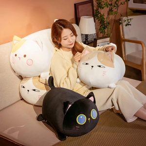 35/50cm Lovely Cartoon Squishy Fatty Cats Plush Toy Pillow Stuffed Soft Cute Animal Kitten Appease Dolls for Children Girlfriend Gift LA423