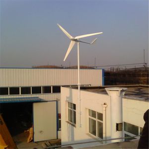 500 Вт 12 В / 24 В горизонтальные ветровые турбинные мощности Ветряная мельница Ветряная мельница, сетка, галстук / внедорожник