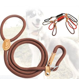 Colares Coleiras de Cão Lashes Pet Coleira P Corrente Filhote de Filhotes Treinamento Exercício Ajustável Arnês Arnês de Nylon Leads para Cães J99s