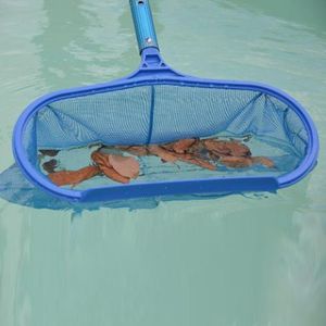 1pc Yüzme Havuzu Kurtarma Net Yaprak Üfleyici İnce Mesh Professional Skimmer Temizlik Tırmağı Temiz Malzemeleri 220622