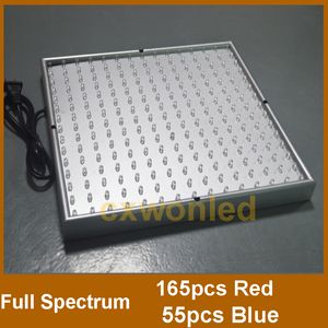 Großhandel 220 LED Blau + Rot Indoor Garden Hydroponic Plant Grow Light Panel 14 Watt + Hängeset DHL UPS