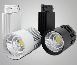 Yeni Tasarım Perakende Satış 10pcs / lot 30W AC110-240V Noverty COB Led Parça Işık, Spot Duvar lambası Spotlight Yüksek kaliteli iyi fiyat