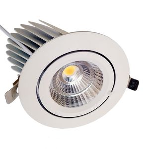 Bridgelux gömme LED spot ışığı 2.5/3/4/5/6 inç dönme gimbal ışık Cri80 gövdesi, görüntüleme açısı ile Downlight 24 derece