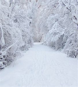 8x10ft Kış Kar Fotoğraf Arka Planında Beyaz Yol Açık Orman Manzaralı Noel Tatil Fotoğraf Stüdyosu Arka