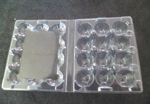 800pcs/lot 12 delik bıldırcın yumurta kapları plastik kutular d28mm yumurta aletleri temiz pvc bıldırcın yumurta tepsisi kutuları
