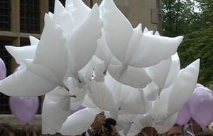 Düğün beyaz güvercin helyum balon vaftiz partisi cenaze töreni doğum günü etkinliği giriş dekor biyolojik olarak parçalanabilir iyilik