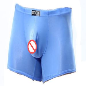 COCKCON мужской прозрачный нижнее белье тонкий лед шелк малоэтажных сексуальные дышащие прозрачные брюки