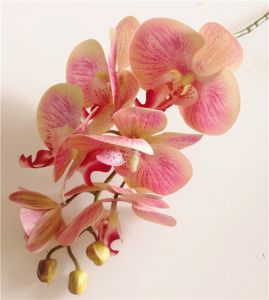 Gerçek Dokunmatik Orkide Çiçek Sahte Pembe Cymbidium PU 3D Yapay Orkide Phalaenopsis Orkide Yapay Dekoratif Çiçekler için Orkide