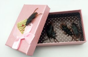 Забавная шутка Tricky Toys 8 шт. За подарочную коробку - поддельные розыгрыши тараканов - ошибки тараканов выглядят настоящими