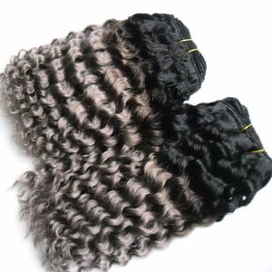 Fasci di tessuto di capelli umani ricci brasiliani 100% 8-26 pollici 2 pezzi di capelli ricci crespi di tessuto 2 pezzi di fasci di tessuto di capelli umani brasiliani Ombre