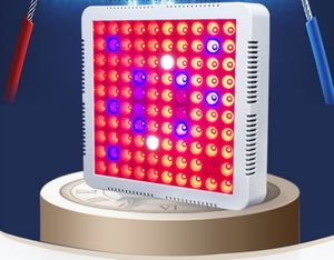 Frete grátis 600w led planta crescer luzes smd2835 vermelho + azul + uv + ir espectro completo led crescer lâmpadas para jardim floração hidroponia crescer