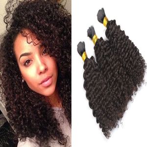 Brezilyalı Afro Kinky Kıvırcık İnsan Örgü Saç 9a 3pcs Lot Afro -Amerikan ProScussed Doğal Siyah Saç için Atkma Bulma Yok