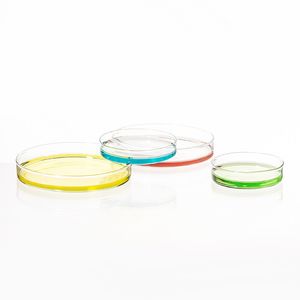 1Package/5Pcs Lab Supplies Dish 90mm Borosilicate Glass Petri Dish for Chemical Laboratory Bacteria Yeast Tissue Culture
